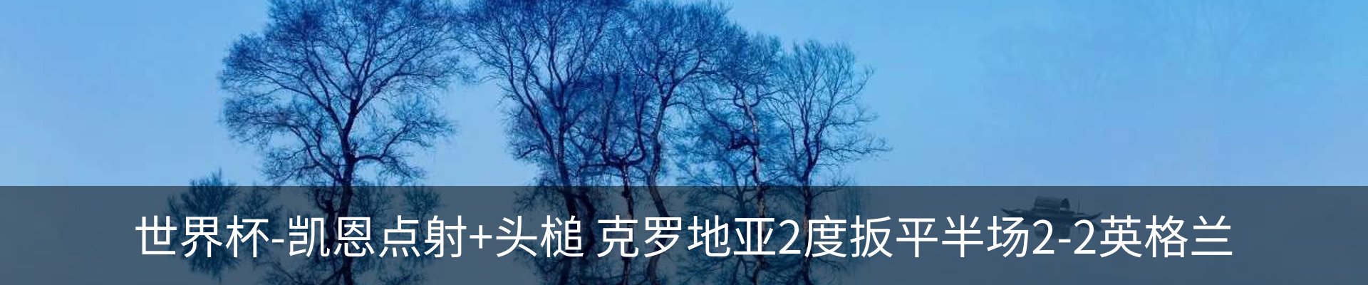 内页banner