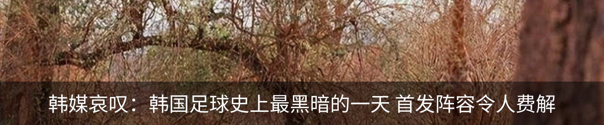 内页banner